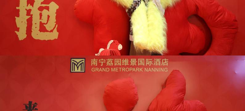 南宁荔园维景国际大酒店图片