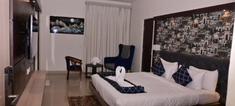 舒布拉加济普尔舒适酒店(Comfort Inn Shubhra Ghazipur)图片