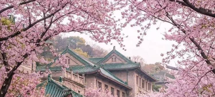 武汉松庐凯瑞酒店(武大东湖店)图片