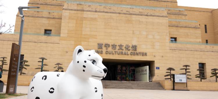 和丰宾馆(西宁市博物馆城北吾悦广场店)图片