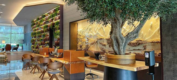 迪拜巴可洛商务湾酒店(Barcelo Business Bay Dubai)图片