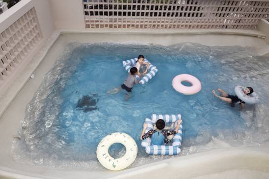 破晓270°Sea View泳池海景美宿(湄洲岛妈祖祖庙莲池澳沙滩店)图片