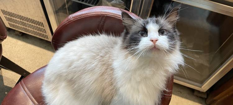 南昌岭溪谷民宿图片