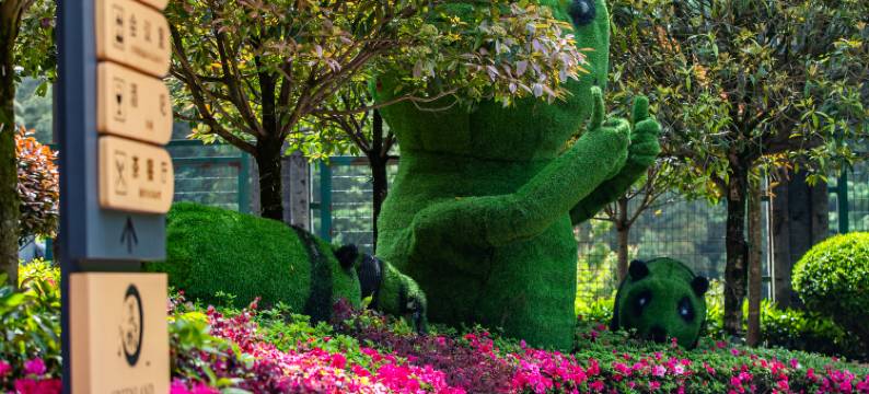 青城山清居坪温泉度假名寓图片