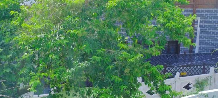 贵阳禧竹山房亲子民宿(青岩古镇西门店)图片