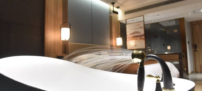 洞庭春大酒店(双峰一中县政府店)图片