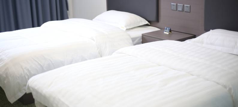 成都文家新城酒店图片