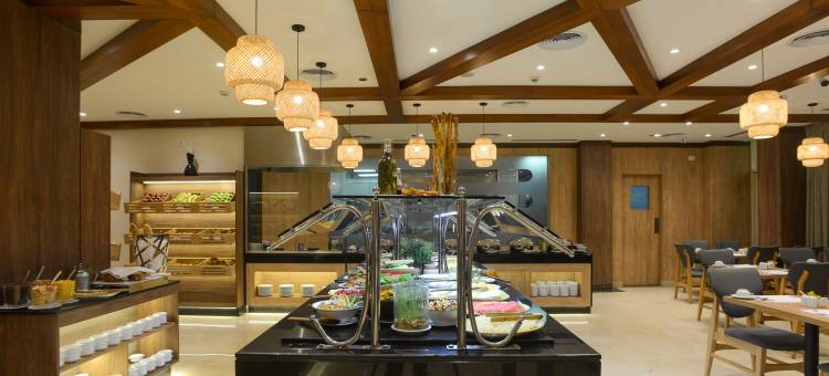 开罗埃伯格诺富特酒店(Novotel Cairo El Borg)图片