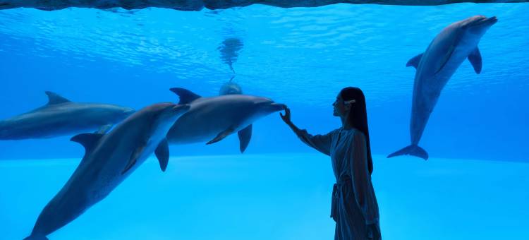 长隆横琴湾酒店(珠海长隆旗舰店)图片