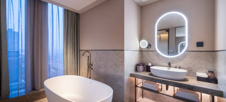 合肥南站中央公园美居酒店图片