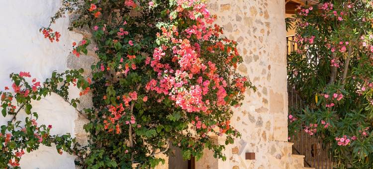 芬卡拉特索酒店 - 美利亚精选酒店成员(Finca Ratxó Hotel, Member of Meliá Collection)图片