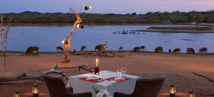 辛纳蒙亚拉野生动物酒店(Cinnamon Wild Yala)图片