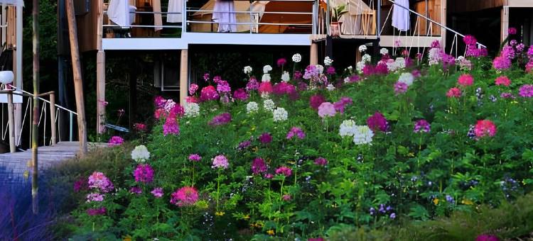 英格努寄宿家庭(Ing Nuea Homestay)图片