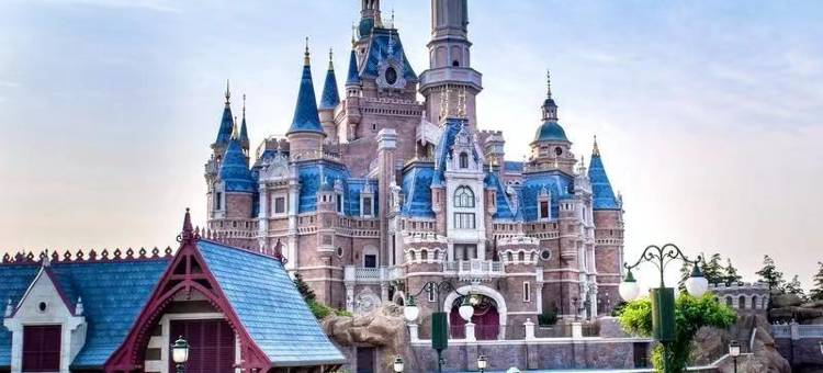 上海沪雅轻居酒店(上海国际旅游度假区店)图片