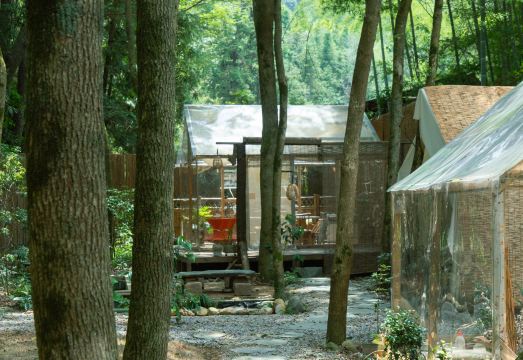 景德镇树园心舍民宿外景图