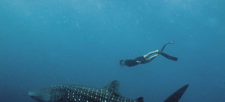 安缦湾澜(Amanwana)图片