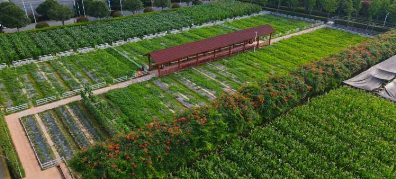 华银生态庄园图片