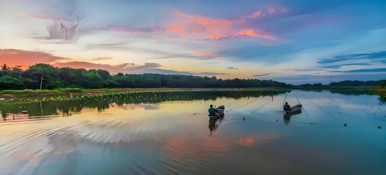 沫希酒店(上饶万年财富步行街润丰购物广场店)图片