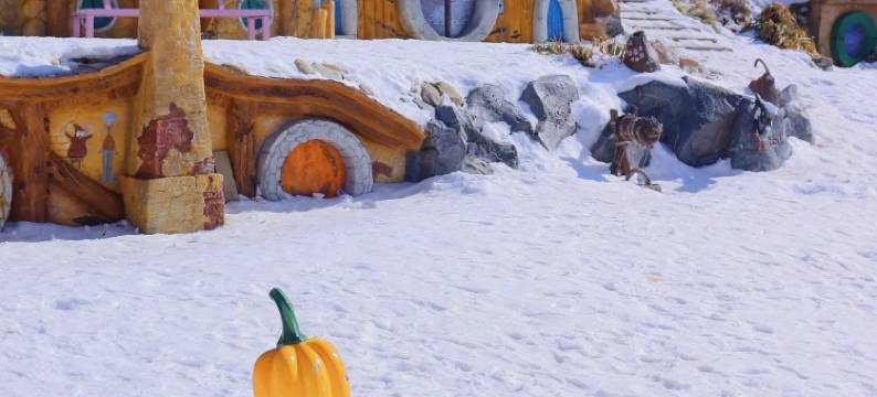 桂花树下·岙居亲子赏雪度假美宿(山沟沟景区)图片