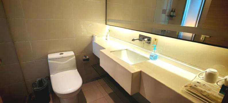 安溪宝龙艺筑酒店图片