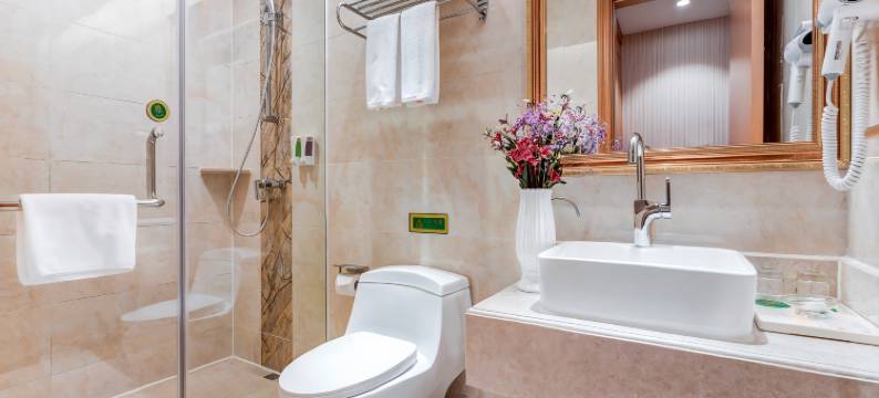 维也纳酒店(上海崇明绿海路店)图片