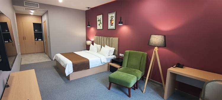 新高君悦酒店(King Plaza)图片