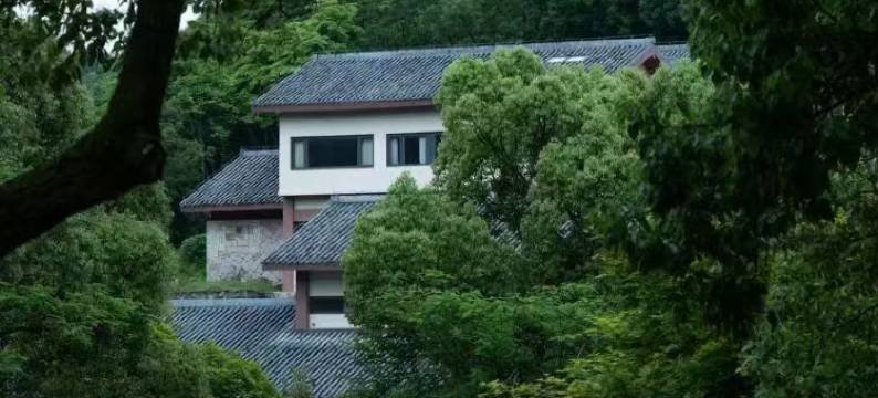 新昌大佛寺凡隐山庄图片