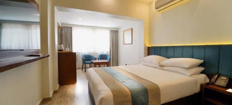 开罗 - 住宿酒店(Stay Inn Cairo Hotel)图片