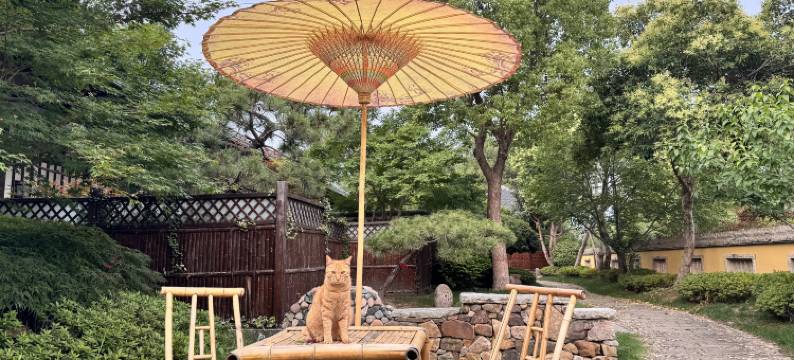 扬州唐城水韵度假酒店(瘦西湖店)图片