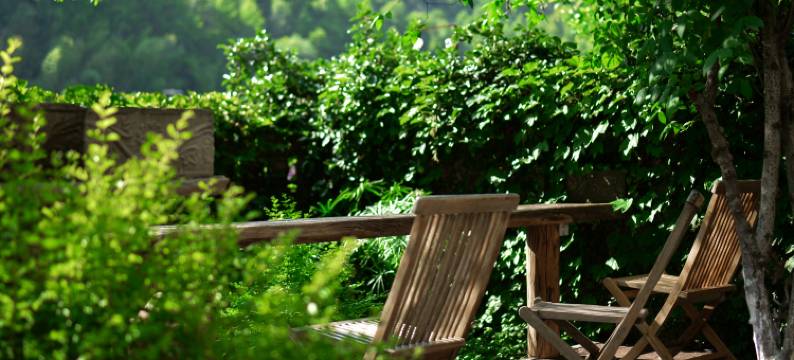 景德镇两颗枣墅民宿(三宝国际陶艺村店)图片