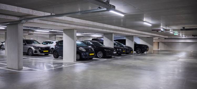 七月 - 船只和公司(The July - Boat & Co)图片