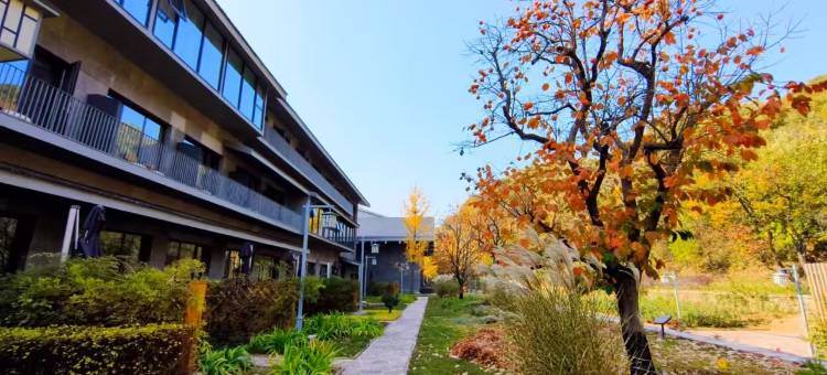 武安东太行晨曦酒店图片