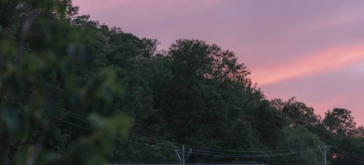 隐居乡里青木瓜之味度假民宿图片