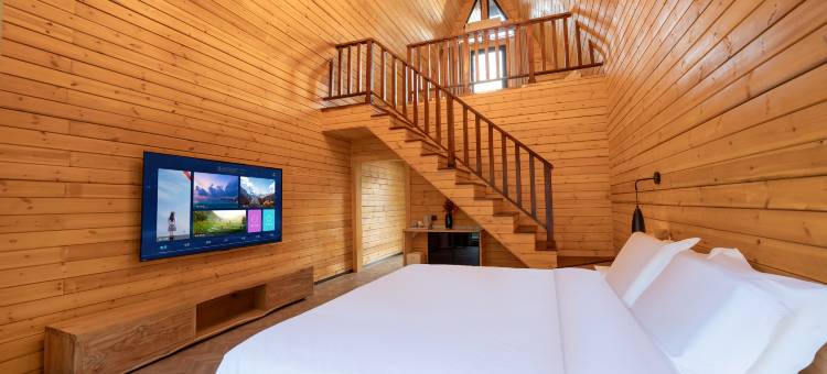 焰火小镇|Firevale·待花谷泳池度假庄园(葡萄沟风景区店)图片