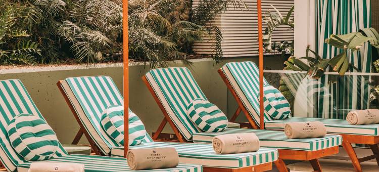 托雷尔·特拉·布拉瓦(Torel Terra Brava)图片