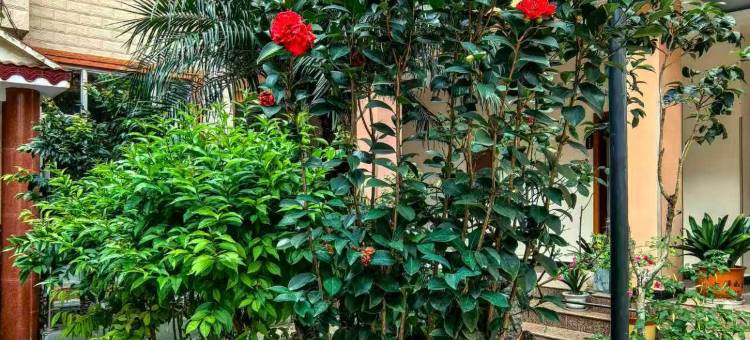 施甸雅立泰宾馆图片