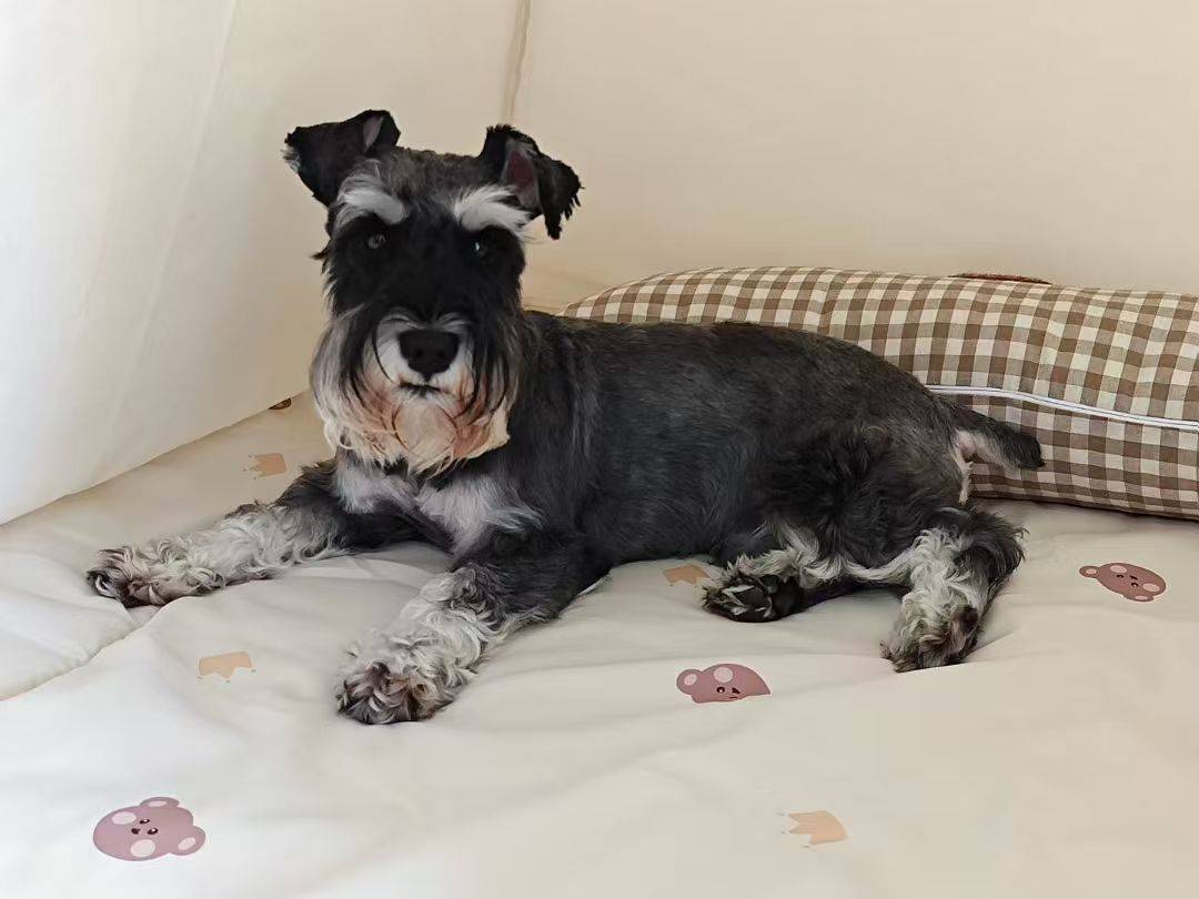 窑池居奶油风艺术设计观景美宿(宜兴窑湖小镇店)图片