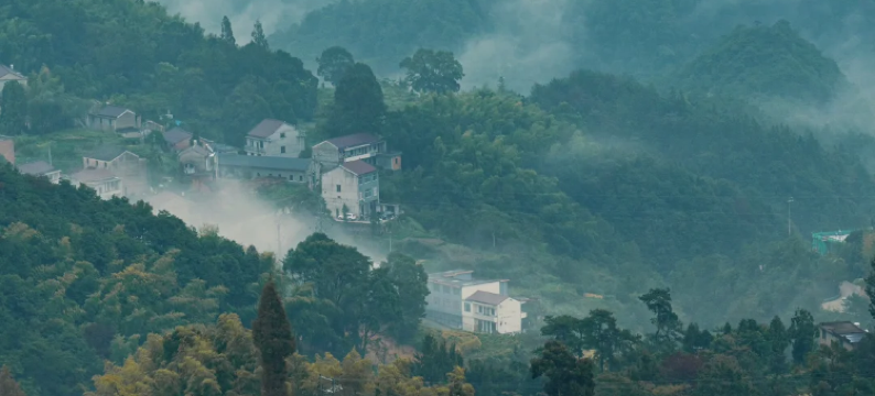 台州奈斯·泊悦酒店(椒江经济开发区滨海工业区店)图片