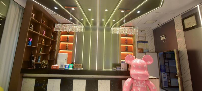 凯莱城堡酒店(广州长隆野生动物园店)图片