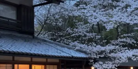 Shine.山嶼|厲厲萬鄉Cafe ·Bar°拾味茶咖設計小築(巍山古城店)