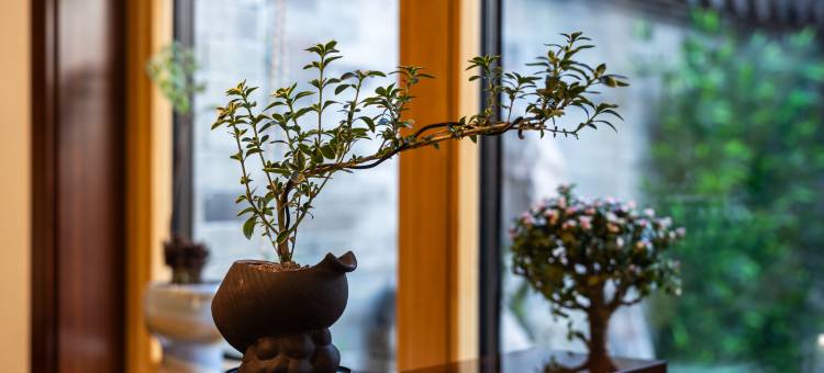 花筑·清禾轩民宿(大同古城华严寺店)图片