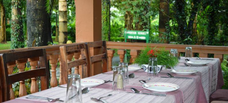 奇特旺天堂酒店(Chitwan Paradise Hotel)图片