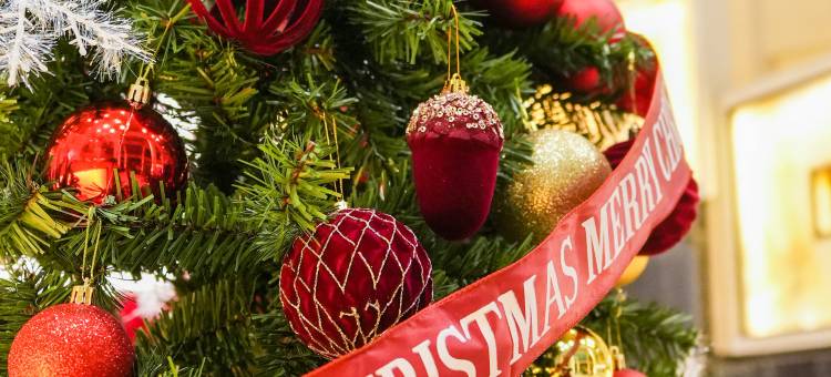 泰安绿发东尊华美达广场酒店图片