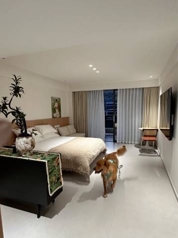 景宁朴语禧墅民宿(畲乡古城店)图片