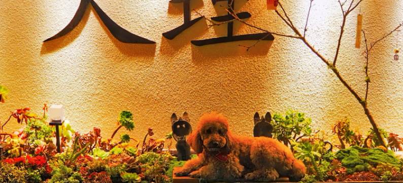 大理鹿卧海湾客栈图片