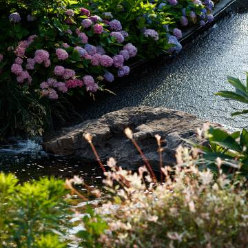 青岛颐海花园酒店(五四广场店)图片