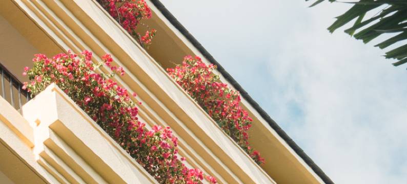 三亚亚龙湾喜来登度假酒店图片