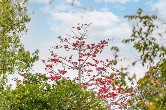 远青温泉民宿图片