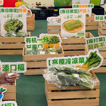 廊坊阿尔卡迪亚国际酒店图片