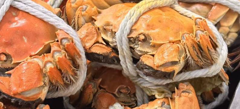 7天连锁酒店(兴化长安中路郑板桥故居店)图片